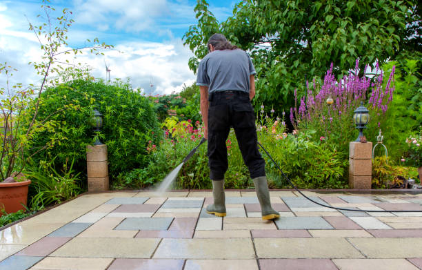 Pre-Holiday Cleaning in Issaquah, WA